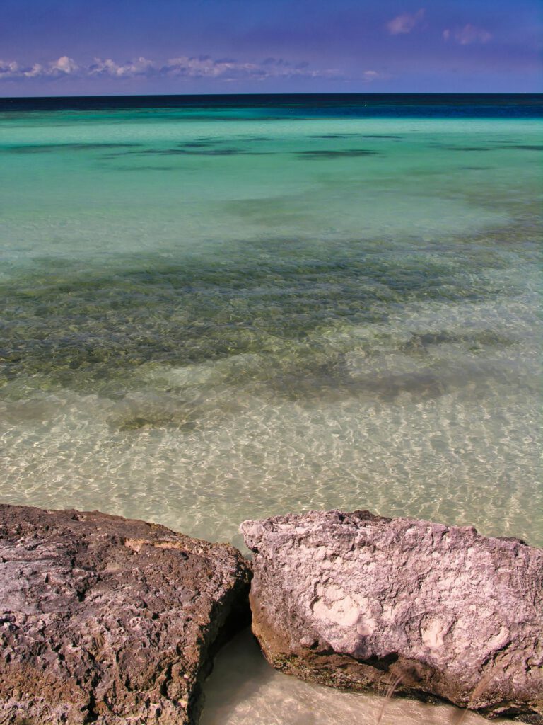 Caribbean - Aruba - Beach and Coral Rocks