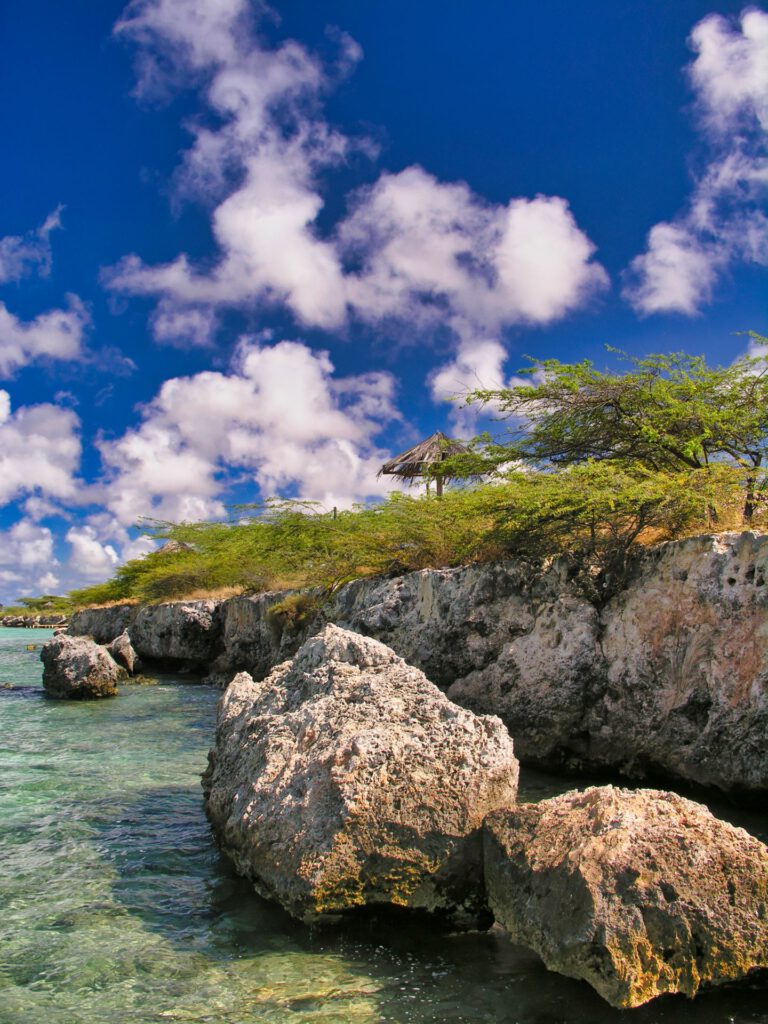 Caribbean - Aruba - Coastline