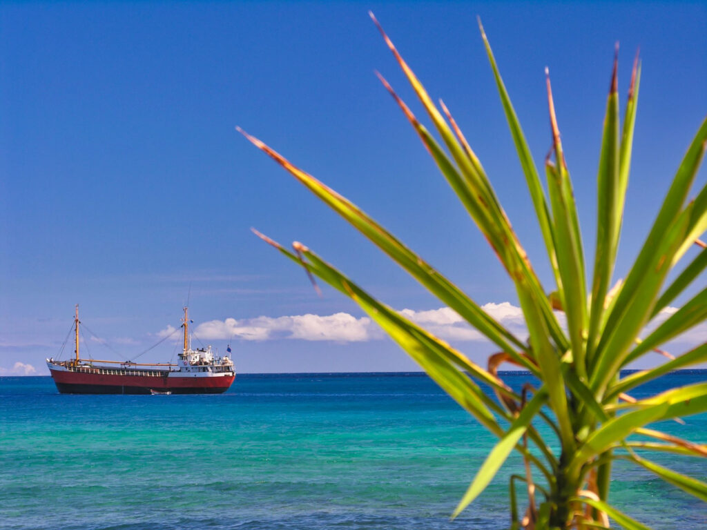 Caribbean - Barbados - Anchoring Cargo Ship and Palm Tree