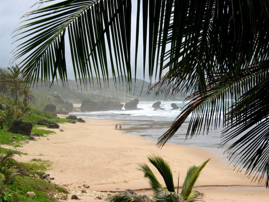 Caribbean - Barbados - Bathsheba Beach