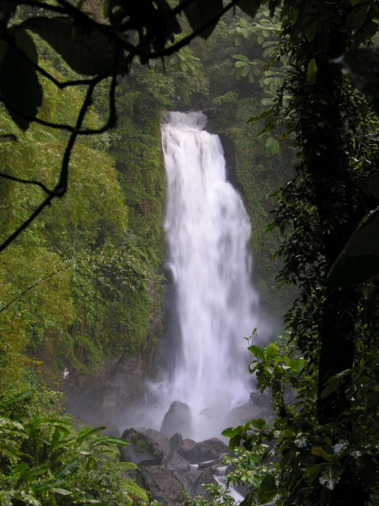 Caribbean - Dominica - Trafalgar Waterfall