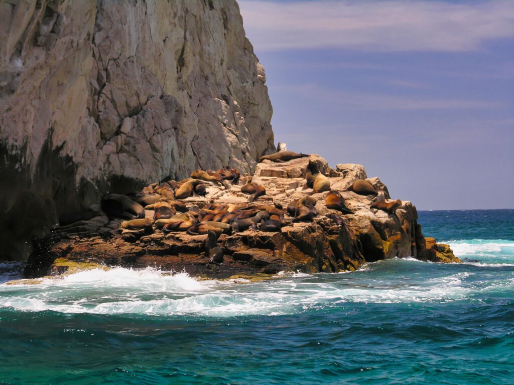 Mexico - Cabo San Lucas - Coastline - El Arco de Cabo San Lucas - Sea Lions on the Rocks