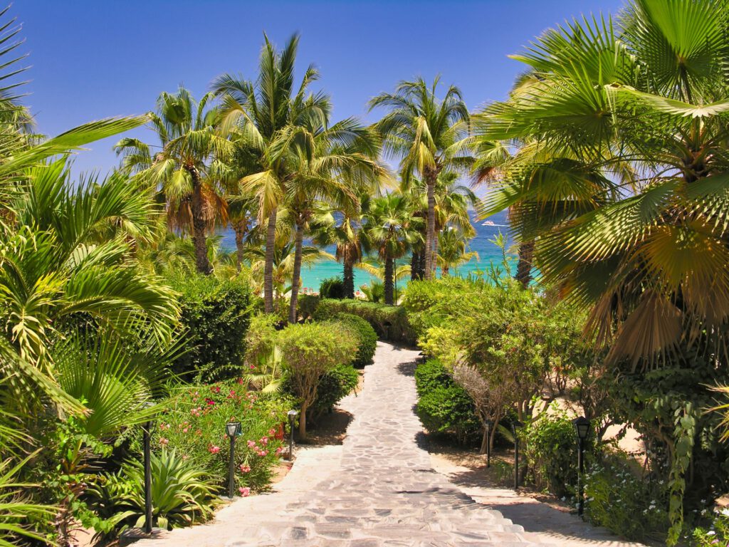 Mexico - Cabo San Lucas - Tropical Garden