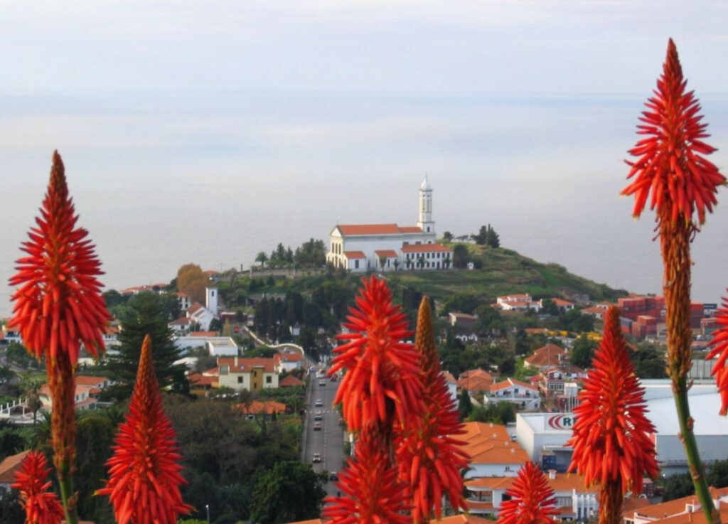 Portugal - Madeira - Landscape and Flowers