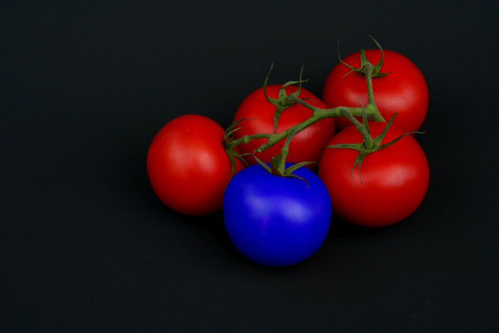 Red and blue tomatoes