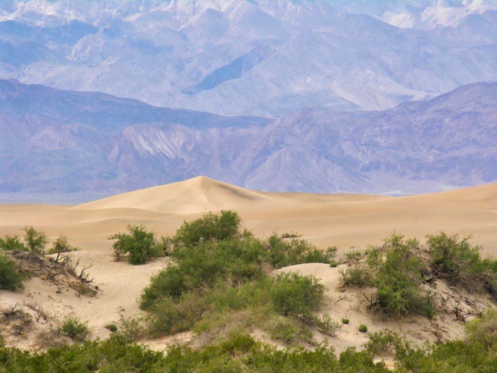 USA - Cafifornia - Death Valley National Park - Mesquite Sand Dunes